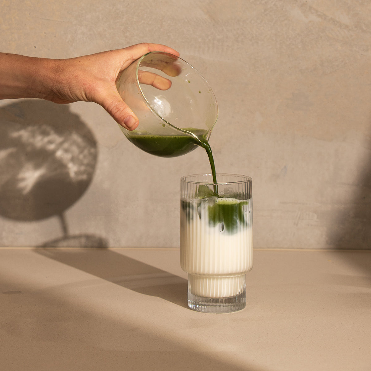 Organic matcha tea high in antioxidants